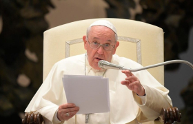 Papa Francisco en audiencia 